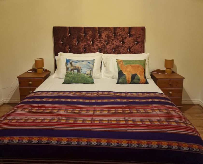 The Alpaca Farmhouse With Hot Tub And Alpaca Experience Included Dromara المظهر الخارجي الصورة