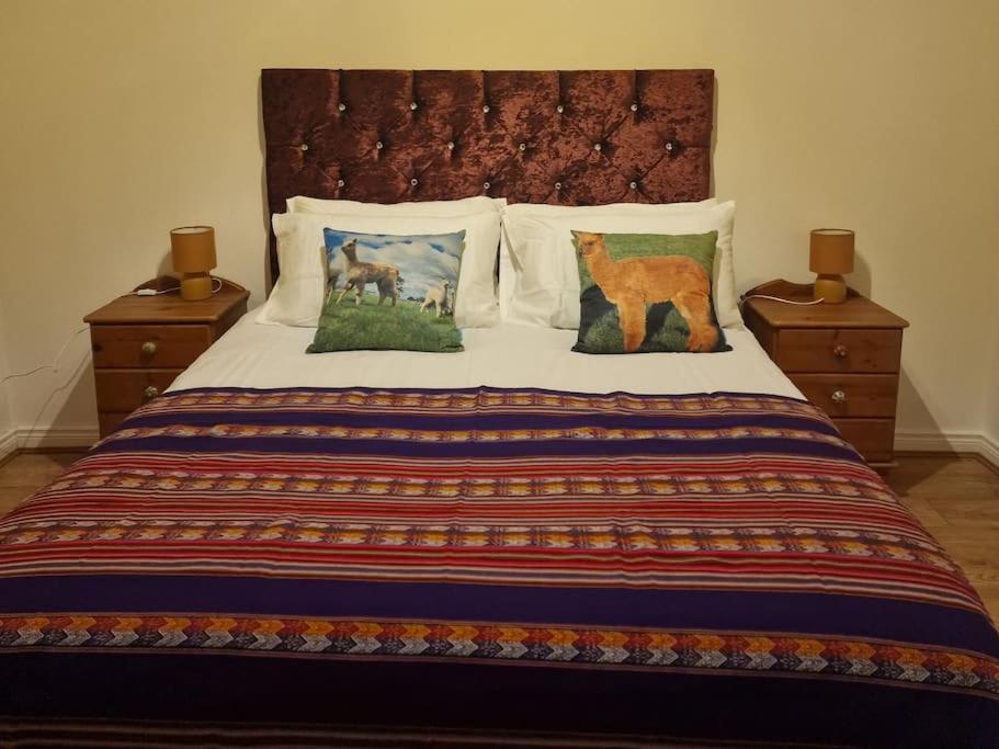 The Alpaca Farmhouse With Hot Tub And Alpaca Experience Included Dromara المظهر الخارجي الصورة